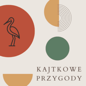 kajtkowe przygody opracowanie ebook okładka